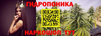 твердый Малоярославец