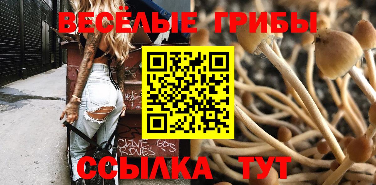 Галлюциногенные грибы мухоморы  Вход с VPN  Вольск 
