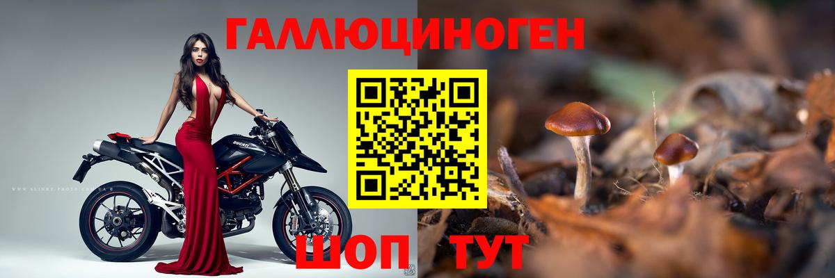 Псилоцибиновые грибы прущие грибы Вольск